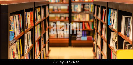 Différents livres sur des étagères de magasin de livre à l'échelle locale. photo a pris à Istanbul/Turquie. Banque D'Images