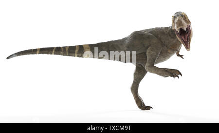 Rendu 3d illustration d'un T-rex Banque D'Images