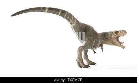 Rendu 3d illustration d'un T-rex Banque D'Images