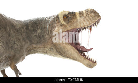 Rendu 3d illustration d'un T-rex Banque D'Images