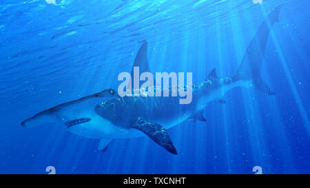 Rendu 3d illustration d'un requin marteau Banque D'Images