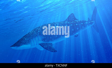 Rendu 3d illustration d'un requin-baleine Banque D'Images