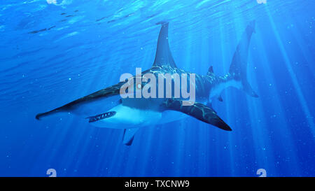 Rendu 3d illustration d'un requin marteau Banque D'Images