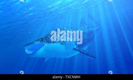 Rendu 3d illustration d'un requin-baleine Banque D'Images