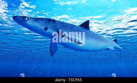 Rendu 3d illustration d'un requin Banque D'Images