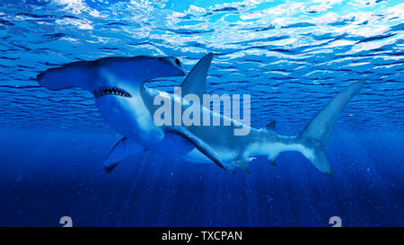 Rendu 3d illustration d'un requin marteau Banque D'Images