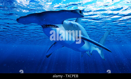 Rendu 3d illustration d'un requin marteau Banque D'Images