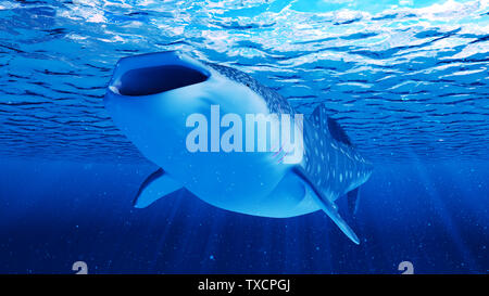 Rendu 3d illustration d'un requin-baleine Banque D'Images