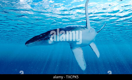 Rendu 3d illustration d'un Liopleurodon Banque D'Images