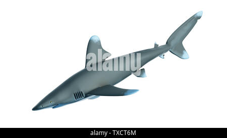 Rendu 3d illustration d'un requin océanique Banque D'Images