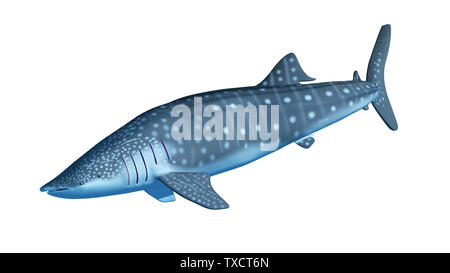 Rendu 3d illustration d'un requin-baleine Banque D'Images