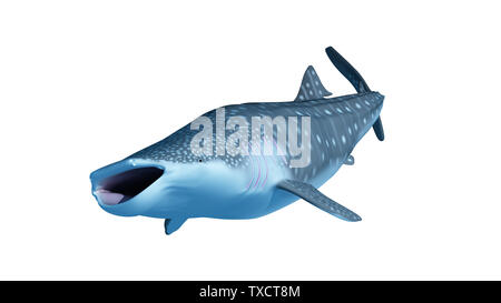 Rendu 3d illustration d'un requin-baleine Banque D'Images