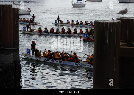 Concord Pacific Dragon Boat Festival à Vancouver, British Columbia Canada en juin 2019 Banque D'Images