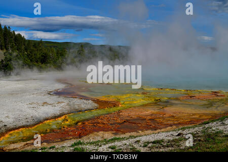 Sel, minéraux, et de la fragile paysage à Grand Prismatic Banque D'Images