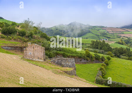 Paysage autour de Furnas, Sao Miguel Island, archipel des Açores, Portugal Banque D'Images