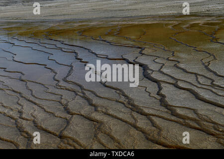 Sel, minéraux, et de la fragile paysage à Grand Prismatic Banque D'Images