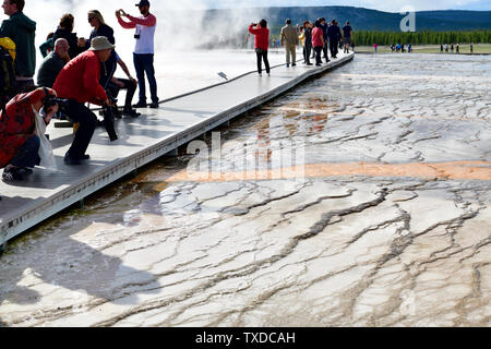 Sel, minéraux, et de la fragile paysage à Grand Prismatic Banque D'Images