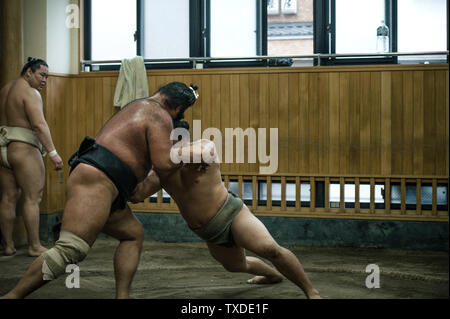 Plusieurs athlètes de divers grades réchauffer et la pratique sumène lutte lors d'une petite écurie de sumo à Tokyo, Japon. Banque D'Images