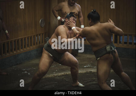 Plusieurs athlètes de divers grades réchauffer et la pratique sumène lutte lors d'une petite écurie de sumo à Tokyo, Japon. Banque D'Images