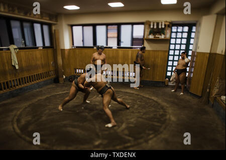 Plusieurs athlètes de divers grades réchauffer et la pratique sumène lutte lors d'une petite écurie de sumo à Tokyo, Japon. Banque D'Images