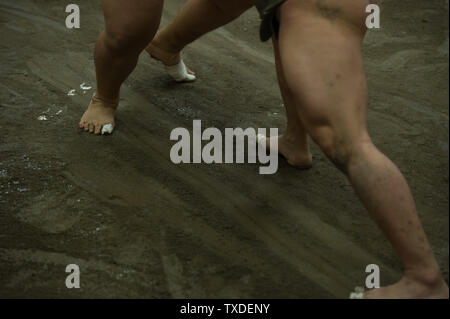 Plusieurs athlètes de divers grades réchauffer et la pratique sumène lutte lors d'une petite écurie de sumo à Tokyo, Japon. Banque D'Images