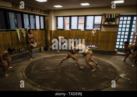 Plusieurs athlètes de divers grades réchauffer et la pratique sumène lutte lors d'une petite écurie de sumo à Tokyo, Japon. Banque D'Images