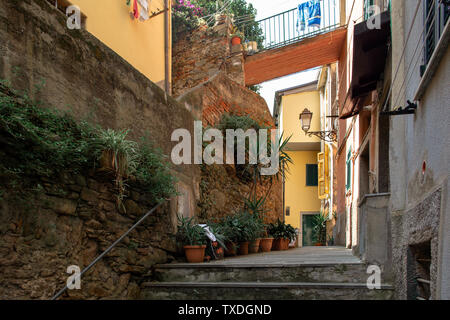 Riomaggiore, Cinque Terre en Italie. Belles rues avec des fleurs. La ville d'été Banque D'Images