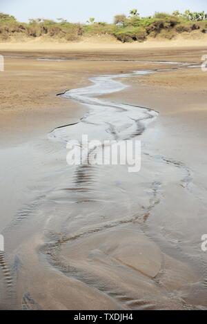 Plage de sable, Dandi, modèle cité, Gujarat, Inde, Asie Banque D'Images