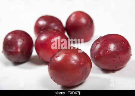 Prune rouge posé nonchalamment sur fond blanc Banque D'Images