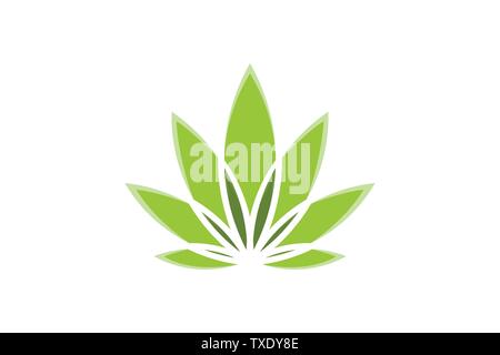 Feuille de cannabis dessins de logos Inspiration isolé sur fond blanc Illustration de Vecteur