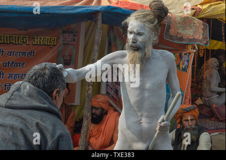 Bénédiction Sadhu dévots, pour un usage éditorial uniquement, Allahabad Kumbh Mela, le plus grand rassemblement religieux, de l'Uttar Pradesh, Inde Banque D'Images