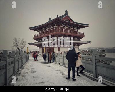 Un cerisier. Banque D'Images