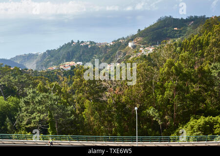 Paysage montagneux autour de Camacha, Madeira, Portugal Banque D'Images