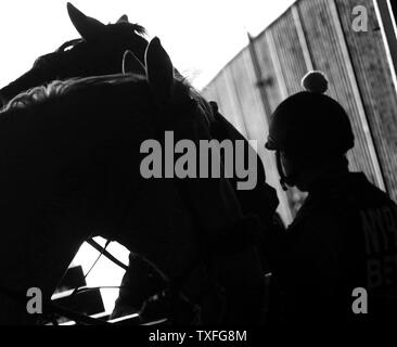 Un précurseur et son poney se profilent comme ils le chef de la piste le jour avant la 149e exécution du pieu à Belmont Belmont Park à New York, NY le 9 juin 2017. Photo par Mark Abraham/UPI Banque D'Images