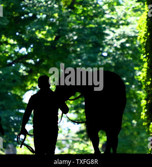 Un précurseur et sa tête de poney pour la piste, le jour avant la 149e exécution du pieu à Belmont Belmont Park à New York, NY le 9 juin 2017. Photo par Mark Abraham/UPI Banque D'Images