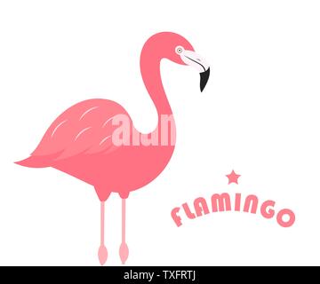 Flamingo oiseau sur fond blanc. Illustrsation vecteur Illustration de Vecteur