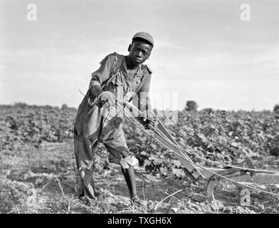 Dorothea Lange : métayer dans un domaine en Géorgie, USA dans la Grande Dépression froide 1937 Banque D'Images