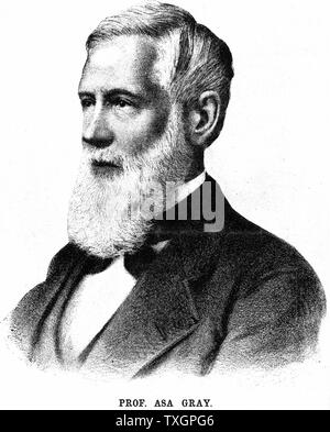 Asa Gray (1810-1888), botaniste américain. Spécialiste de la flore japonaise. Ami de Darwin. Accepté La sélection naturelle comme la force dans l'évolution, mais, en tant que fervent Protestant, ne pouvait pas accepter ce n'est que cause. Lithographie 1888 Banque D'Images