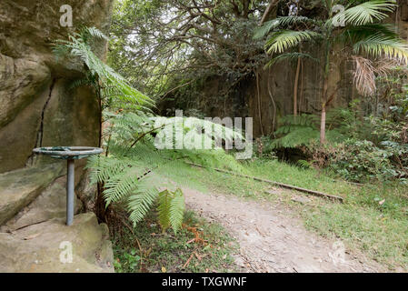 Dans Lawrey Plunkett, Mosman reste certaines parties de l'ancien découpage et Balmoral Beach la ligne de tram sont toujours en place. La ligne a été fermée en 1958 Banque D'Images