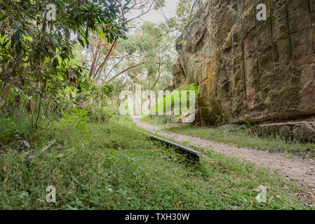 Dans Lawrey Plunkett, Mosman reste certaines parties de l'ancien découpage et Balmoral Beach la ligne de tram sont toujours en place. La ligne a été fermée en 1958 Banque D'Images