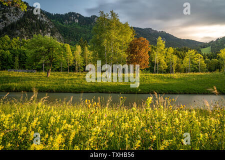 Coucher du soleil à la rivière ammer à Oberammergau, Allemagne Banque D'Images