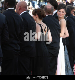 Marion Cotillard et l'équipe du film arrivent sur le tapis rouge avant la projection du film "Blood Ties" lors de la 66e Festival annuel International du Film de Cannes à Cannes, France le 20 mai 2013. UPI/David Silpa Banque D'Images