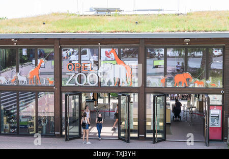 Kronberg im Taunus, Allemagne. 25 Juin, 2019. L'entrée à Opel Zoo. Credit : Silas Stein/dpa/Alamy Live News Banque D'Images