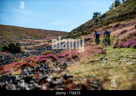 Deux hommes pédlaient en VTT sur un chemin depuis la baie de Porlock, sur la côte nord du Somerset, en direction de Selworth Beacon Banque D'Images