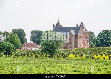 Poederoijen, aux Pays-Bas, le 10 juin 2019 : Vue vers 14e siècle château Loevestein à partir de la réserve naturelle environnante Munnikenland Banque D'Images