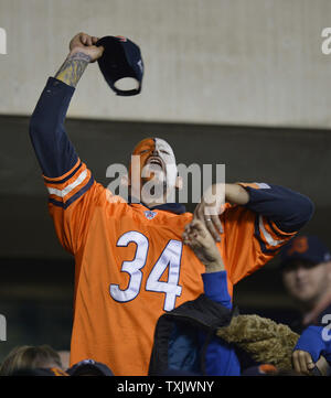 Un ours de Chicago cheers du ventilateur pendant le troisième trimestre contre les Giants de New York à Soldier Field, à Chicago le 10 octobre 2013. Les ours défait les géants 27-21. UPI/Brian Kersey Banque D'Images