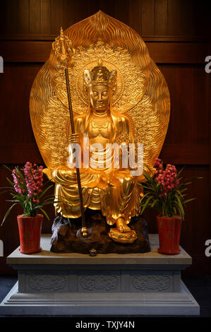 Culte au temple du Bouddha de Jade, Shanghai, Chine Banque D'Images