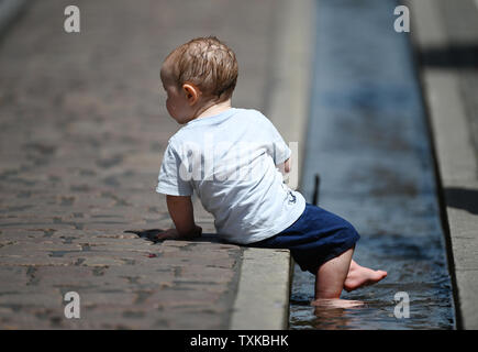 Freiburg, Allemagne. 25 Juin, 2019. L'one-year-old Borek de République tchèque actualise lui-même dans un ruisseau de Freiburg. Crédit : Patrick Seeger/dpa/Alamy Live News Banque D'Images