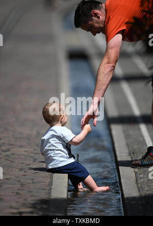 Freiburg, Allemagne. 25 Juin, 2019. L'one-year-old Borek de République tchèque actualise lui-même avec son père Jiri dans un ruisseau de Freiburg. Crédit : Patrick Seeger/dpa/Alamy Live News Banque D'Images