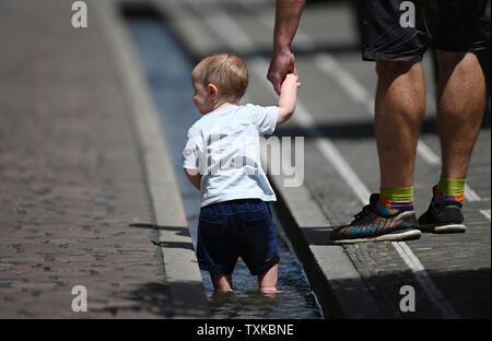 Freiburg, Allemagne. 25 Juin, 2019. L'one-year-old Borek de République tchèque actualise lui-même avec son père Jiri dans un ruisseau de Freiburg. Crédit : Patrick Seeger/dpa/Alamy Live News Banque D'Images